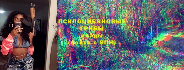 прущие грибы Алексеевка