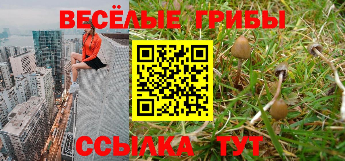 Галлюциногенные грибы прущие грибы Бийск