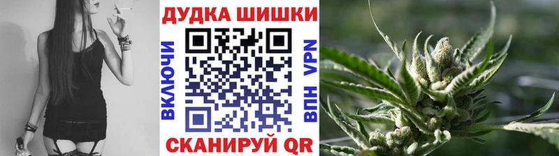 МЕГА как зайти Бийск Конопля тримм