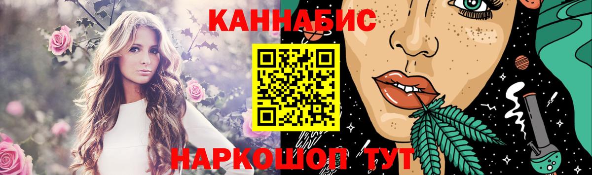 Бошки Шишки план Бийск